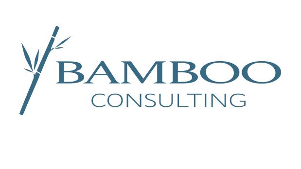 Logo von: Bamboo Consulting